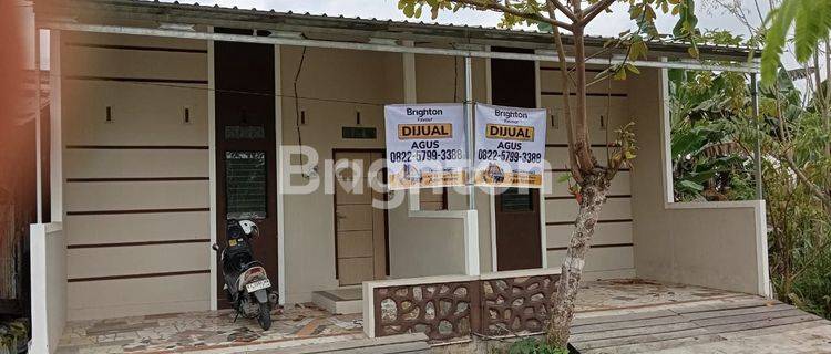 Rumah  Baru dan Simpel 1