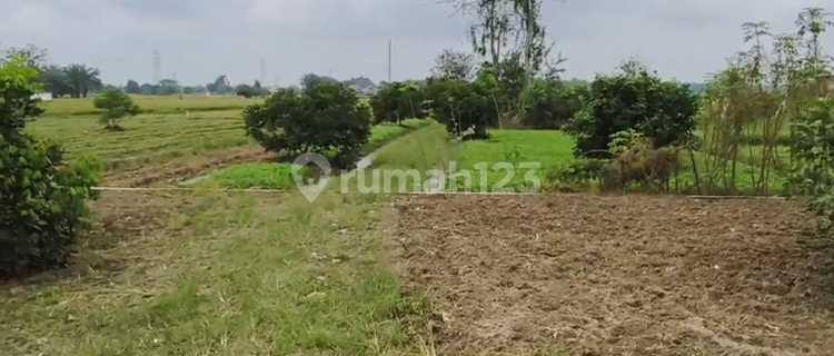 Dijual Tanah Gudang Daerah Binjai Medan 1