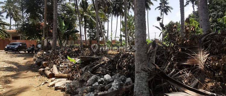 Disewakan Tanah 1 Menit Dari Pantai, Zona Turis  Kontrakan 1