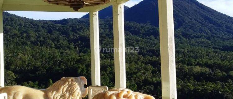 Villa Jatiluwih View Kopi Dan Hutan Jual Murah 1