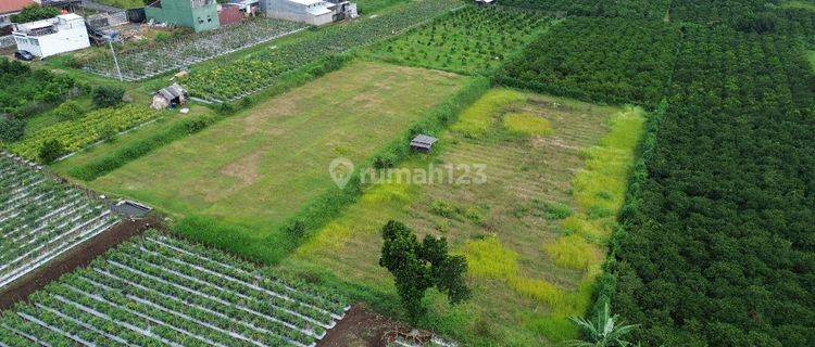 Tanah dijual Kota Malang dekat Kampus UIN siap bangun Kost 1