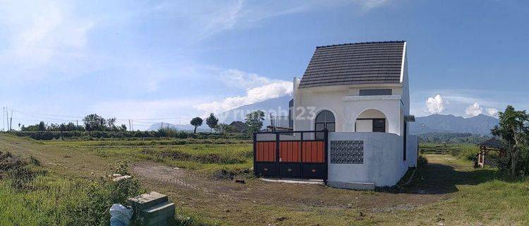 Tanah 120 m² Candi Watu Pacet Mojokerto 1