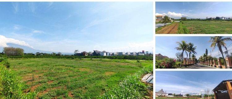 Dijual Tanah Kavling Murah Cocok Bangun Hunian Kota Malang 1