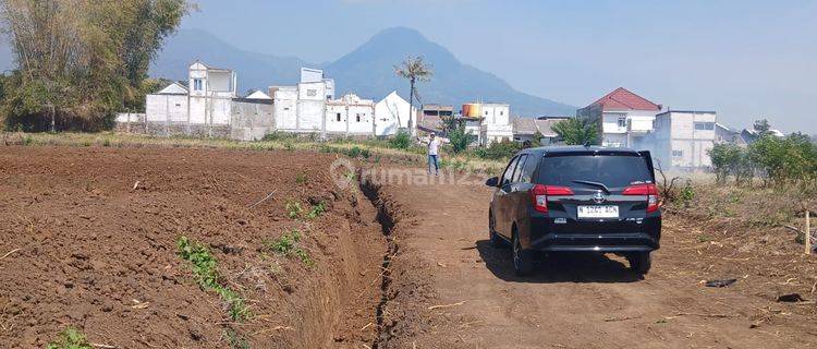 Tanah Murah SHM Dau Sumbersekar Malang Cocok Bangun Kost Hunian 1