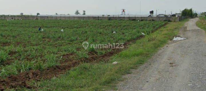 Tanah Murah Dekat Bandara Kertajati Majalengka 1