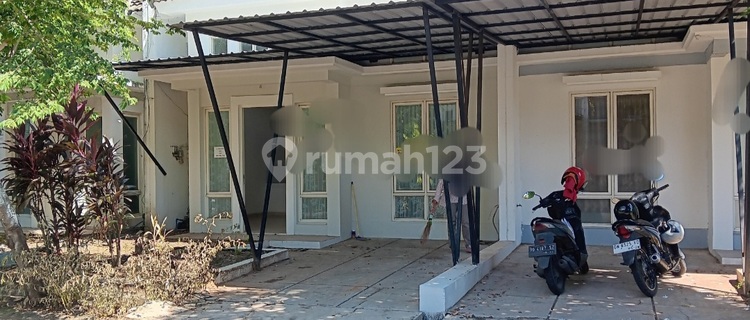 Disewakan Rumah Tanjung Bunga Amarilis 3kt Siap Huni 1