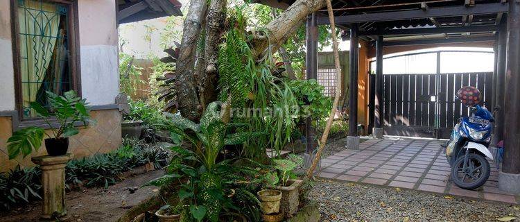 Rumah Siap Huni Nyaman Dan Asri Semi Furnish  1