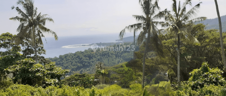 Dijual Tanah Premium di Puncak Bukit Batu Layar Lombok Barat 1