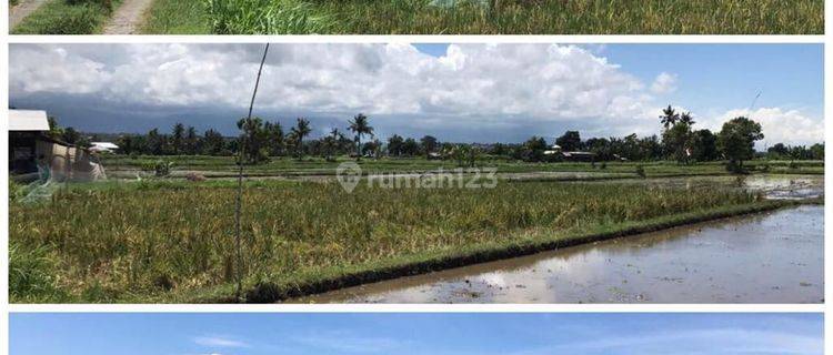 Land for sale in Bungkulan District, Buleleng 1