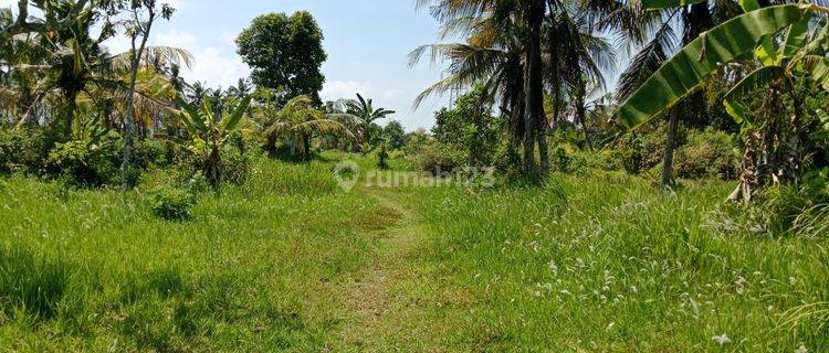 Butuh Uang Cepat Tanah Murah Di Banyubiru Negare 1