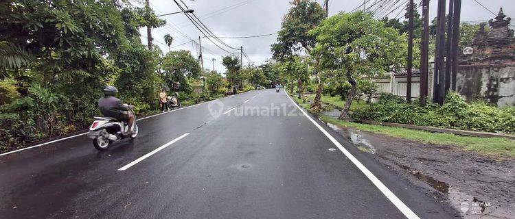 Tanah 37 Are Di Jalan Utama Disewakan, Area Denpasar Timur 1