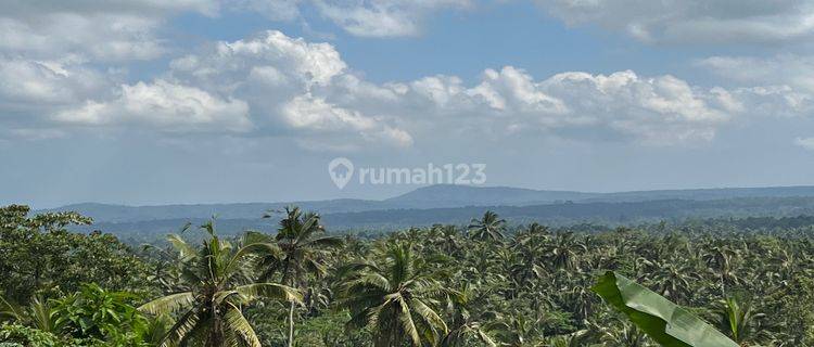 Tanah Kebun View Lembah Dan Sawah Di Tabanan Bali. 1