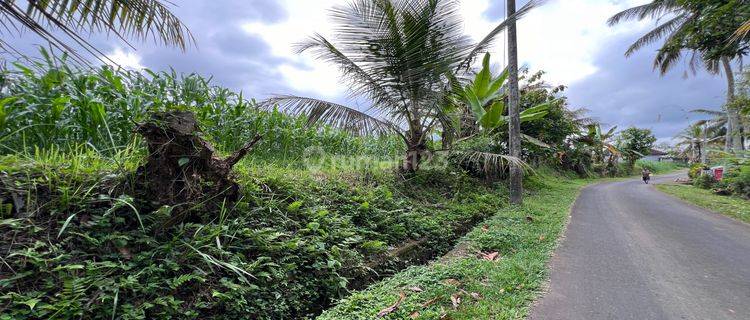 Tanah View Gunung Los Sungai Murah Di Tabanan Bali. 1