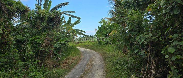 Small Land Area Near Beach In Tabanan Bali. 1