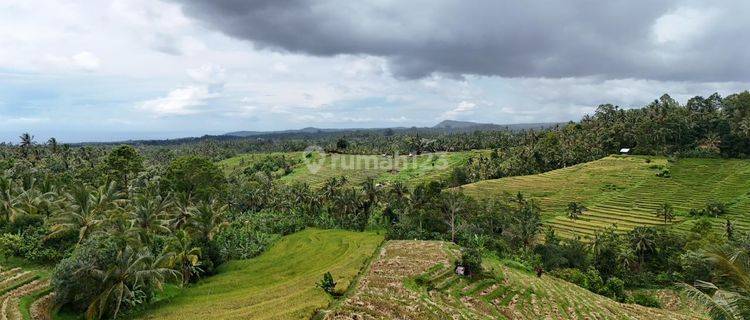 Tanah Kebun Luas Kecil View Sawah Terasering Di Tabanan Bali 1