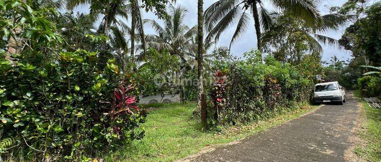 Dijual Tanah Semi Villa View Gunung Sawah Di Tabanan Bali 1