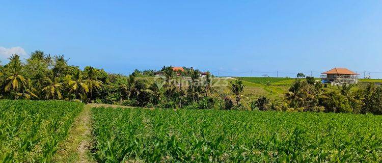 Jual Tanah Dekat Pantai Murah Di Tabanan Bali. 1