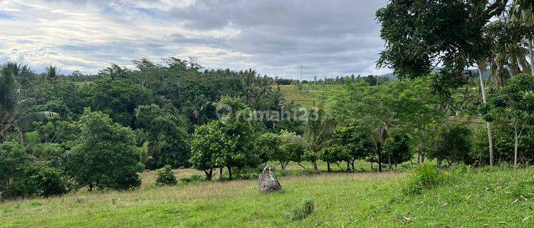 Dijual Tanah Murah Untuk Villa Dan Investasi Di Tabanan Bali 1