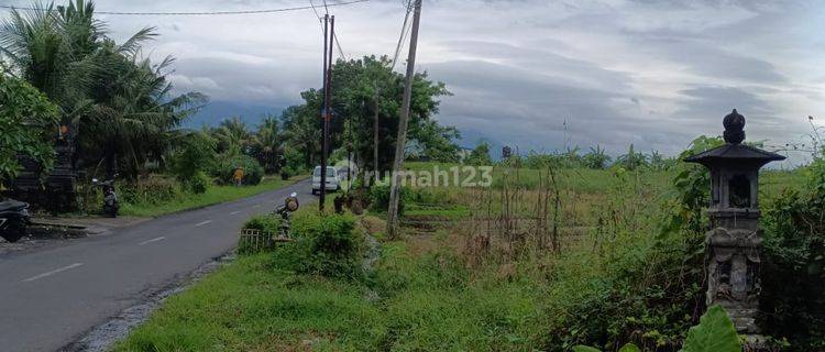 Dijual Tanah Zona Pariwisata View Sawah Gunung Dan Laut Di Tabanan 1