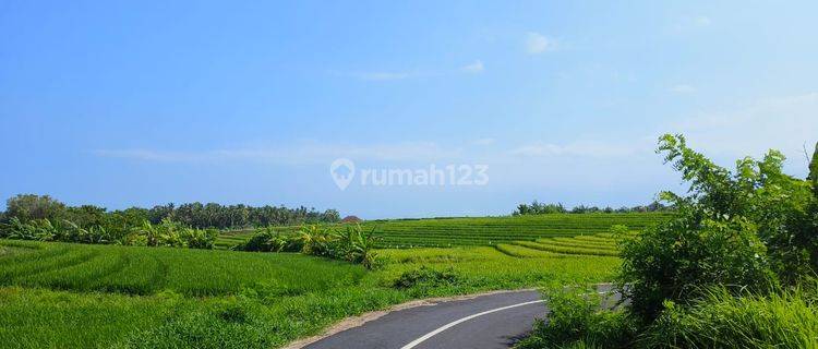 Di Jual Tanah Dekat Pantai Murah Di Tabanan Bali. 1