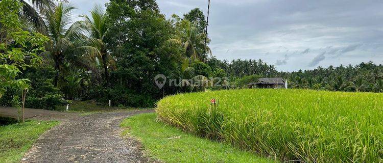 Dijual Tanah View Sawah Gunung Cocok Untuk Villa Di Tabanan Bali 1