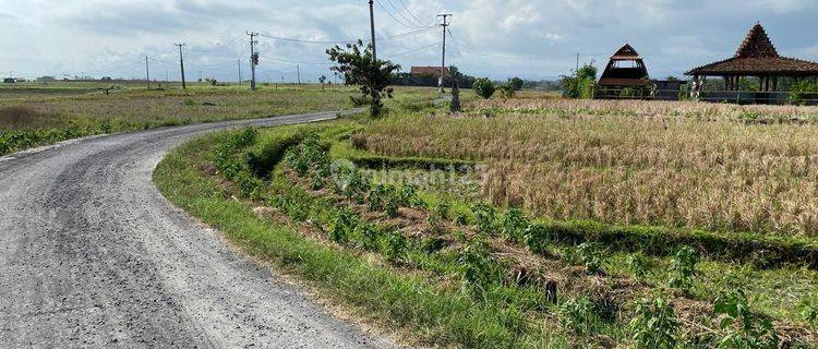 Small Land Area Near Beach With Rice Field And Sea View In Bali 1