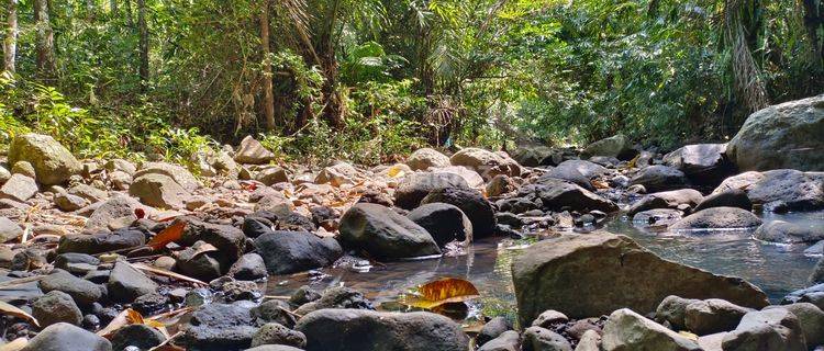 Tanah Kebun Los Sungai Harga Murah Di Tabanan Bali 1