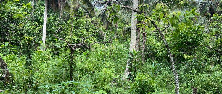 Jual Tanah Kebun Dekat Pantai Harga Termurah Di Tabanan Bali. 1