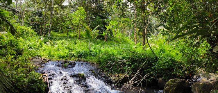 Land for Garden in Los Sungai in Tabanan Bali 1