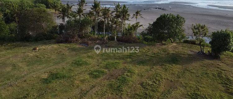 Jual Tanah Los Pantai Luas Besar Di Tabanan Bali 1