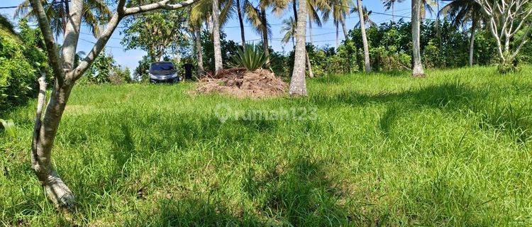 Flat Land Tourism Zone Suitable For Villa In Tabanan Bali 1