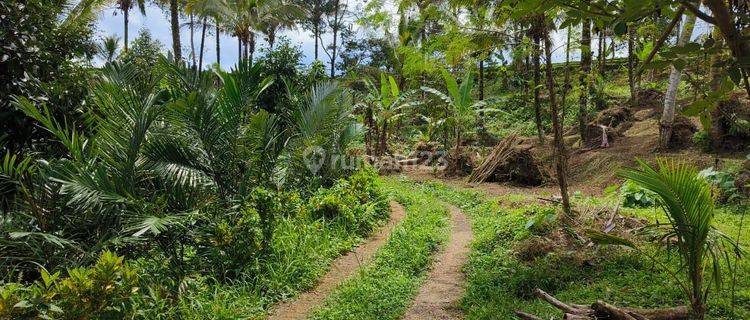 Land Garden View Valley And Rice Fields In Tabanan Bali 1