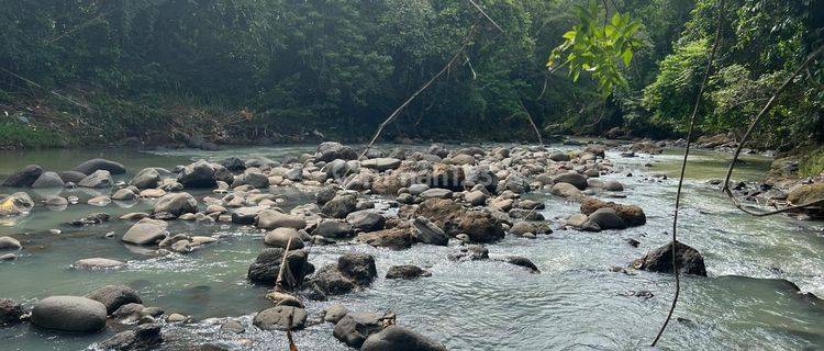 Dijual Tanah Dekat Pantai Los Sungai Di Tabanan Bali 1