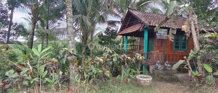 Tanah Kebun Luas Kecil Sudah Isi Bangunan Joglo Mini Di Tabanan 1