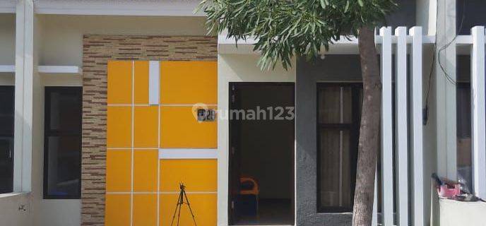 Rumah Kontrakan Di Cluster Celtic Segara City Bekasi  1