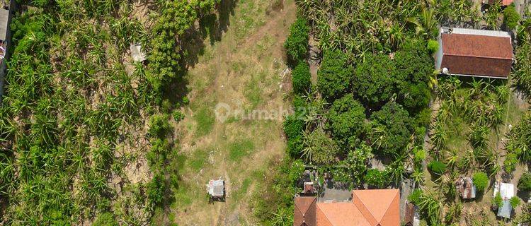 Plot of land on Jalan Singasari Lumintang North Denpasar 1