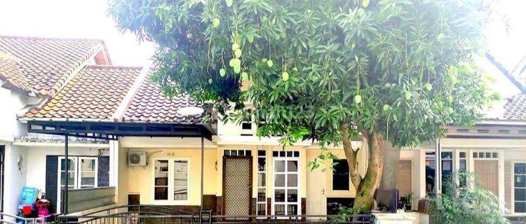 Rms003 Disewakan Rumah Taman Puspita Citra Raya Tangerang 1