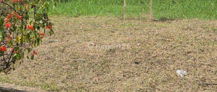 Dijual Kavling Hunian Lokasi Strategis, Taman Simpruk Lippo Cikarang 1