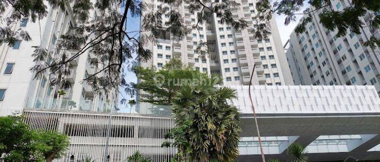 Apartemen Sky Terrace Daan Mogot 1 Br Jual Murah Dan Cepat 1