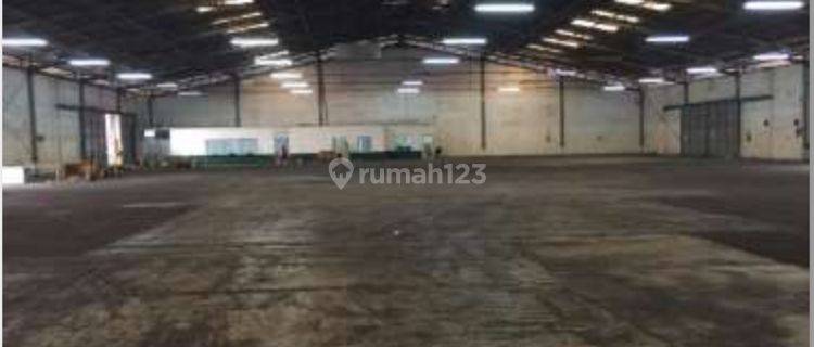 Warehouse Cakung Cilincing,Loading Dock, Lengkap Stuffing Area 1