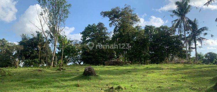 Dijual Murah Tanah Tabanan Bali 1