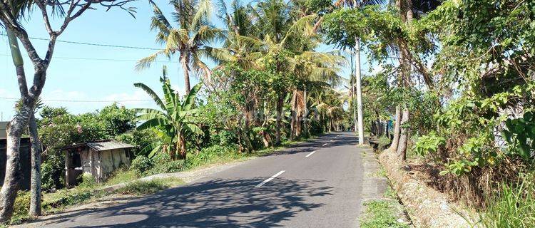 FOR SALE CHEAP LAND ON THE ROAD SIDE WITH RICE FIELD AND MOUNTAIN VIEW 1