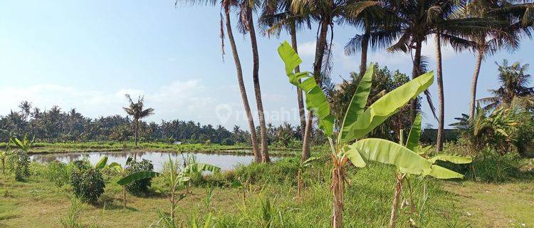 Di Jual Murah Tanah Bali View Sawah 1