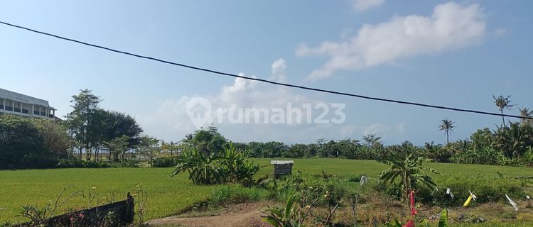 Dijual Murah Tanah Bali Los Pantai, View Pantai Dan Sawah Bali 1