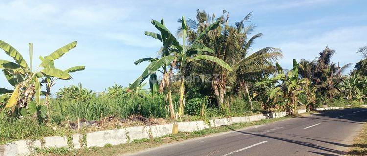 Dijual Tanah Murah Pinggir Jalan Dan Dekat Pantai Pering Bali 1