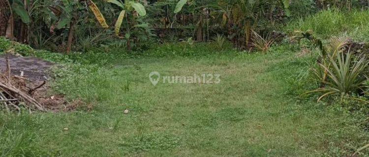 Dijual Murah Tanah View Sungai Tengah Kota Batubulan Bali  1