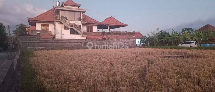 Dijual Murah Tanah Bali Celuk Sukowati View Sawah 1