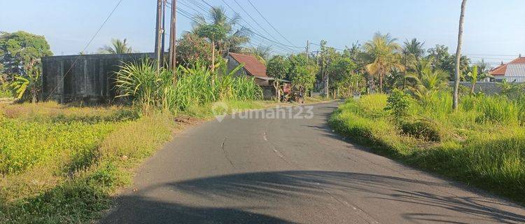 Dijual Tanah Murah Bali Dekat Rumah Sakit Kasih Ibu Saba Dan +- 1 Km Ke By Pass Jl.raya Ida Bagus Mantra 1