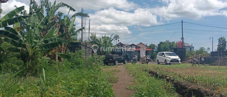 Dijual Tanah Murah Area Sukawati Gianyar 1