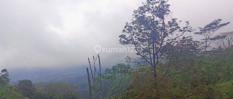 For Sale CHEAP LAND BALI Mountain Plateau 1,450 Sea Level View of Mountains, Hills, Sea, Karangasem City & Lombok 1